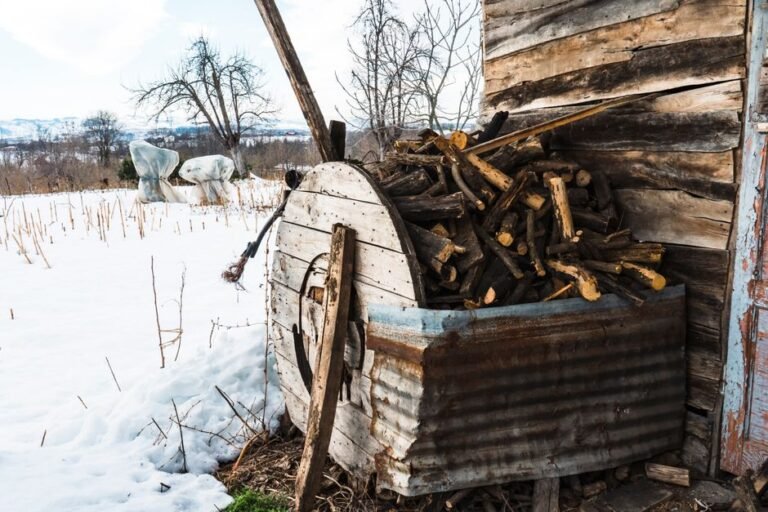 wooden compost bin backyard
