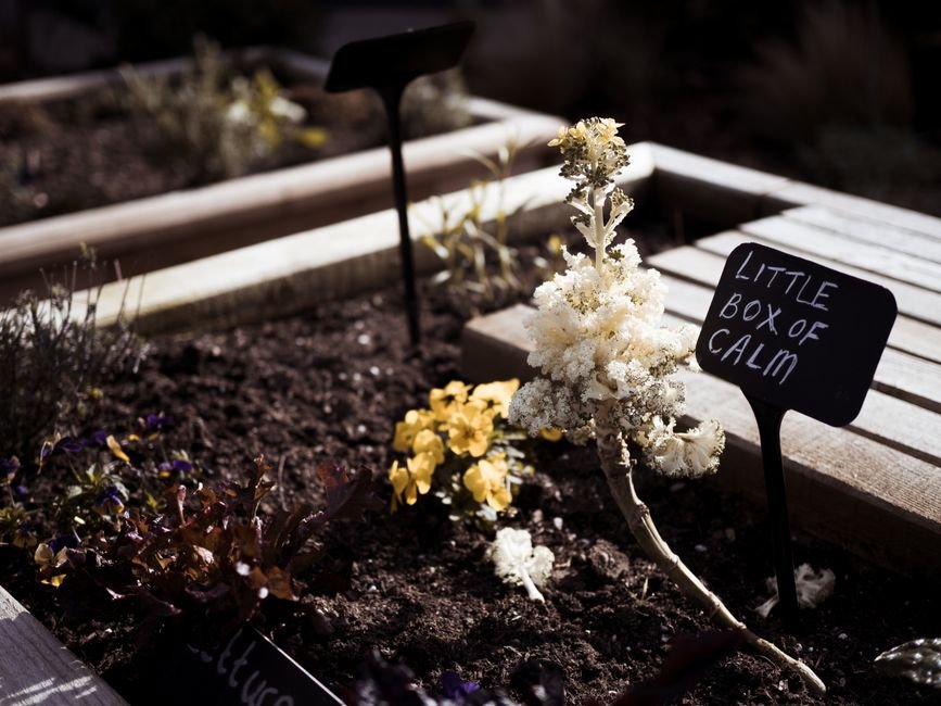 raised garden bed soil