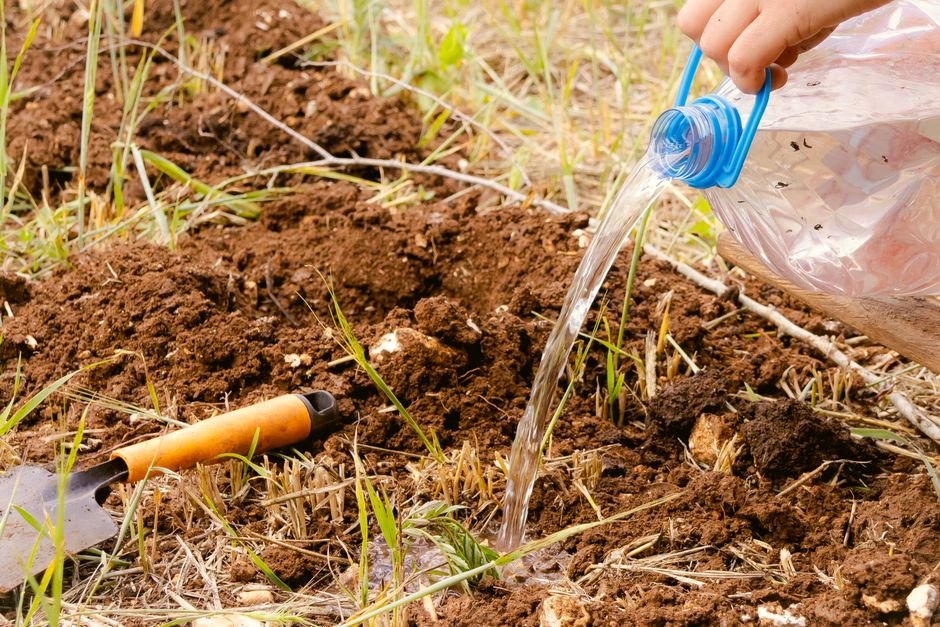 garden soil watering