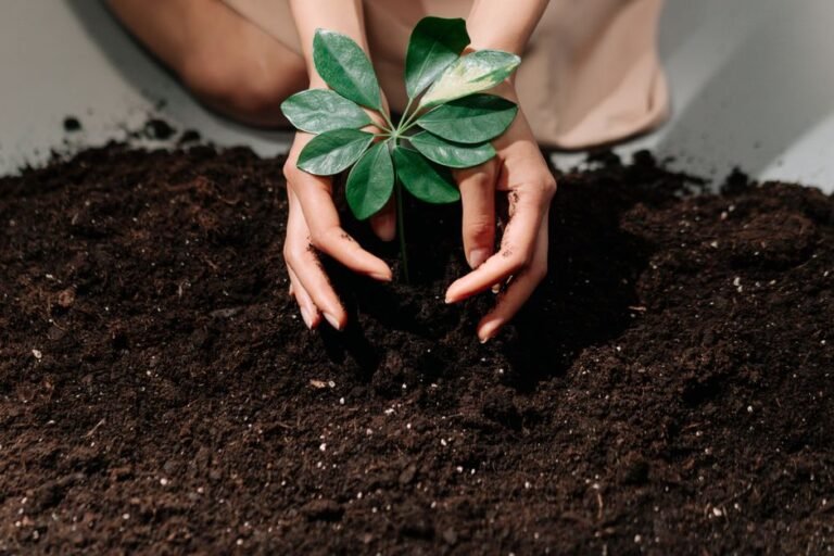 garden soil hands
