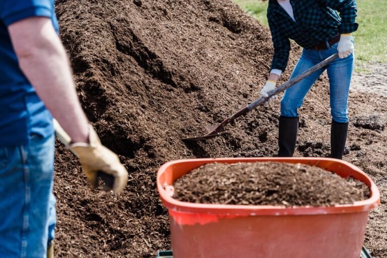 What I Actually Noticed After Years of Composting Coffee Grounds